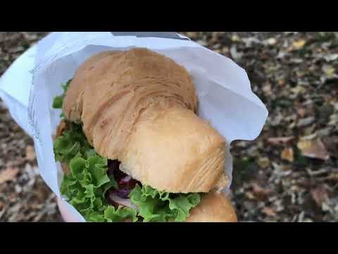 Видео: Стрийський парк.Львів.Прогулянка.Ботанічний сад.