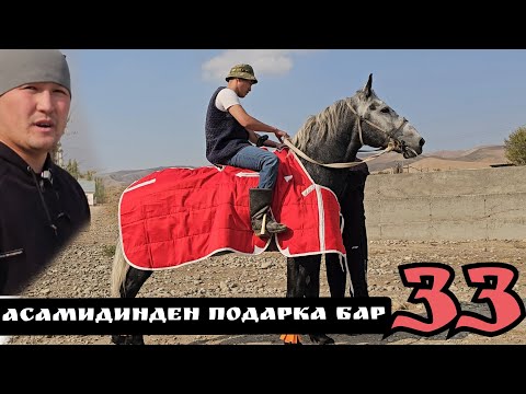 Видео: Атырылган 33 Асамидинден