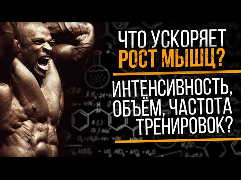 Видео: Объём, Частота, Интенсивность тренировок и Мышечная масса