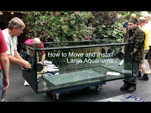 Видео: Paletta 500 уже здесь — как перемещать и устанавливать большие аквариумы