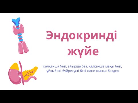 Видео: Эндокринді жүйе. Эндокринді жүйе физиологиясы.Ішкі секреция бездері.2-бөлім