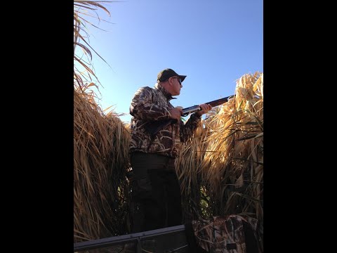 Видео: 🎙Все что нужно знать об охоте на гуся | Эфир в Instagram