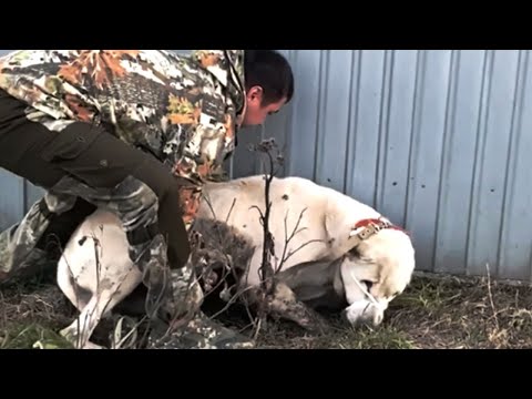 Видео: Он был почти измотан и потерял надежду жить! Но тут случилось чудо.