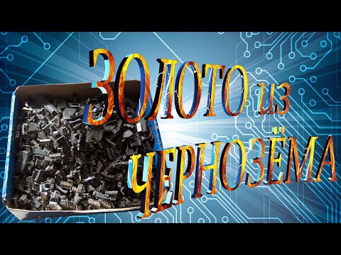 Видео: Золото из ''Чернозёма'' Хороший Выход!