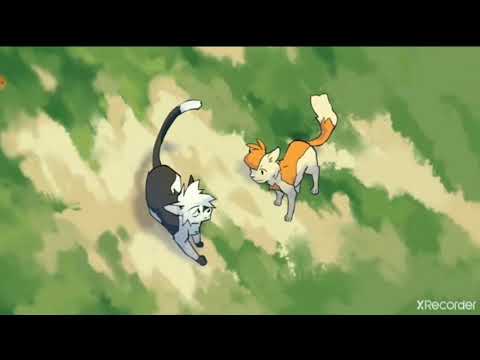 Видео: Коты-воители | Клип ~ Быстролап и Яролика ~