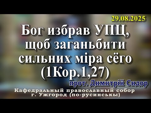 Видео: Бог избрав УПЦ, щоб заганьбити сильних міра сёго. (1Кор.1,27).29.08.2025, прот. Димитрій Сидор