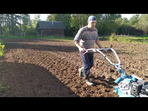 Видео: Как я сею сидераты. How I sow siderat.