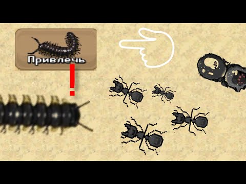 Видео: Я призвал новые многоножку в симулятор колонии Pocket ants 