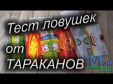 Видео: Ловушки для тараканов. Выбираем лучшую