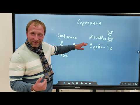 Видео: Серотониновые игры цивилизованного человека. Хомо(не)Сапиенс. Конкуренция вместо сравнения.
