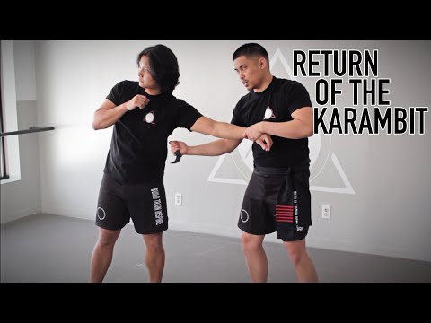 Видео: ВОЗВРАЩЕНИЕ РАБОТЫ! | Филиппинские боевые искусства