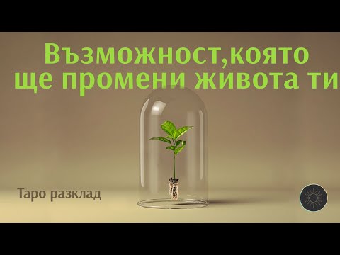 Видео: Справедливостта ще възтържествува във вашия живот 🌱🎆⚖️