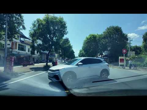Видео: Назад в Шэньчжэнь
