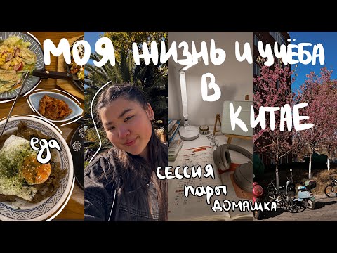 Видео: китай влог | сессия, самолёт, японская еда , посылки с таобао, новый год с друзьями🤍