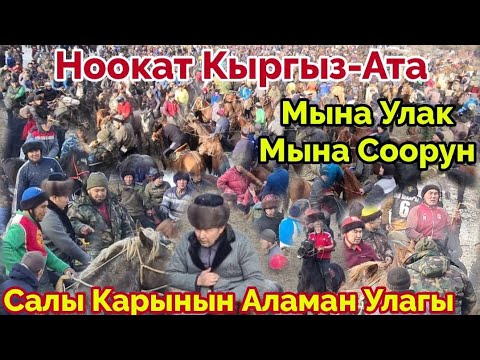 Видео: Улак Берсен Ушундай Бер Салы Каарынын Улагы 09.01.23ж