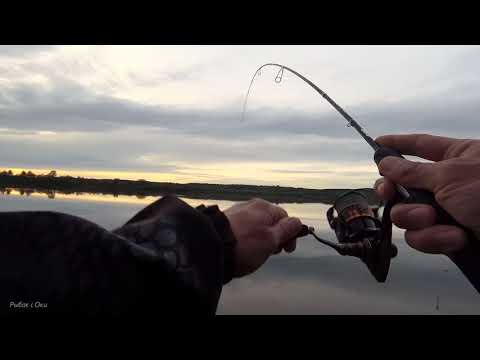 Видео: Обалдеть от этой снасти! Ловля на МИКРОДЖИГ! Рыбалка на Оке!