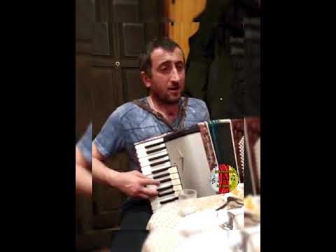 Видео: Макиев Тариел Мад