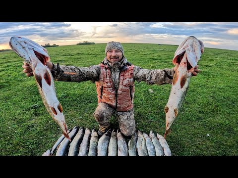 Видео: ПОПАЛ НА ЖОР ЩУКИ Рыбалка на щуку Рыбалка на спиннинг  Рыбалка 2025. Щука на джерк.