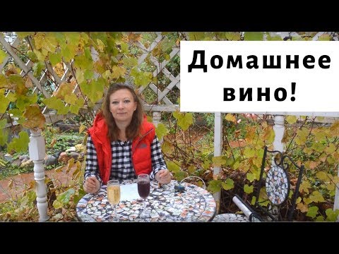 Видео: Как правильно сделать домашнее вино?