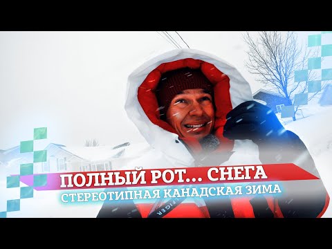 Видео: ЗИМА В КАНАДЕ. Снежный шторм. Сколько снега в Канаде?