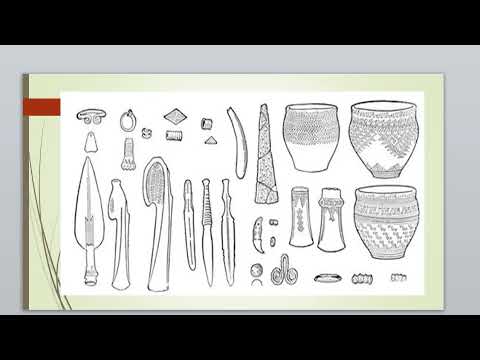 Видео: 5 лекция. Мәдениеттану пәні.