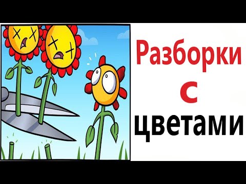 Видео: ПРИКОЛЫ! РАЗБОРКИ С ЦВЕТАМИ!!! Угарные МЕМЫ, смешные истории от Доми шоу!