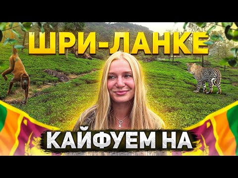 Видео: ШРИ-ЛАНКА 2022/Цейлонский Чай/Нувара-Элия