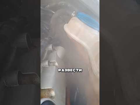 Видео: Вот как вы кормите мошенников!