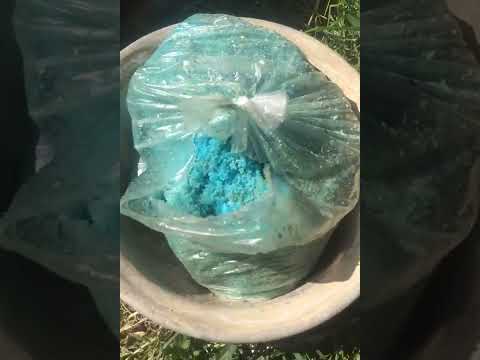 Видео: СТАТИЦА!подкормка после высадки в грунт