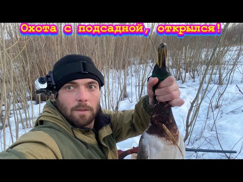 Видео: ОТКРЫЛСЯ ПО СЕЛЕЗНЮ, КЛЯКСА МОЛЧИТ, РАБОТАЮ ВМЕСТО УТКИ…