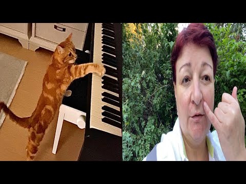 Видео: VLOG/ГЕРМАНИЯ/РАЗВЛЕКАТЕЛЬНО БОЛТАТЕЛЬНЫЙ ВЛОГ))))С ТАБУРЕКАМИ😁БАХА БАХАЕМ😻