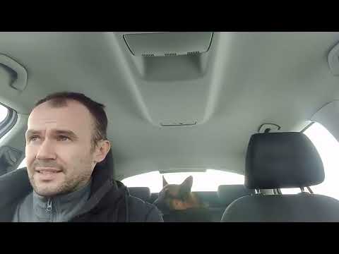 Видео: Мнение толпы= мнению обоссаного бомжа