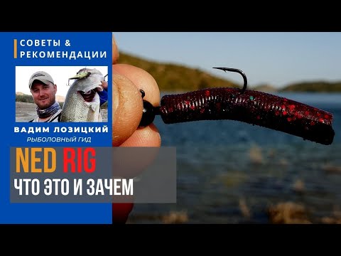 Видео: NED RIG. Что это такое и как этим ловить? 🇨🇾 Советы и рекомендации