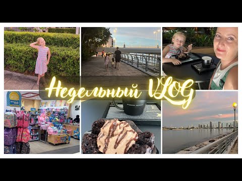 Видео: Недельный Влог✨ Наш Новый Питомец 🐹 Покупки К Школе