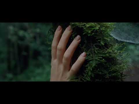 Видео: Прво писмо од циклусот Пет љубовни писма - Петре М. Андреевски