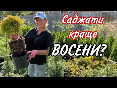 Видео: Посадка рослин ВОСЕНИ. Переваги.Чи є недоліки?