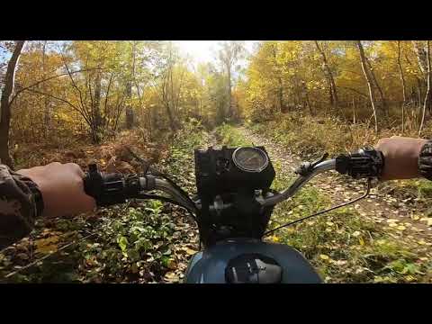 Видео: ИЖ Планета 4 валит#2 Золотая осень.