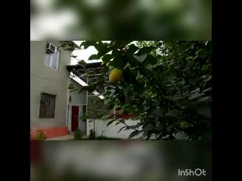 Видео: Ыймандан дилим тазарат - Надырбек Алымбеков.