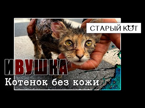 Видео: ШОКИРУЮЩАЯ травма и ВОЛШЕБНОЕ преображение!