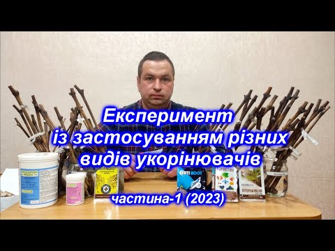 Видео: Експеримент із застосуванням різних видів укорінювачів ч-1