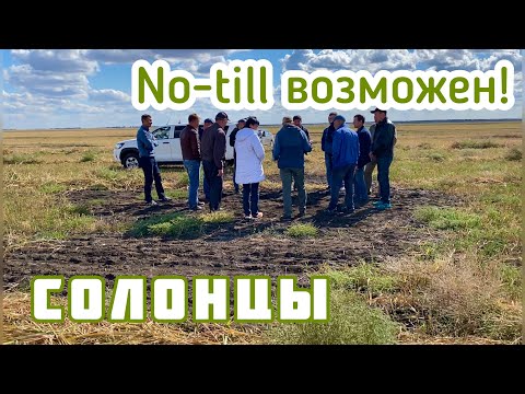 Видео: No-till на солонцах возможен!