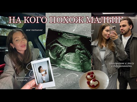 Видео: ВЛОГ: Второй Скрининг / Анализы и Прибавка в Весе / Про Миссию