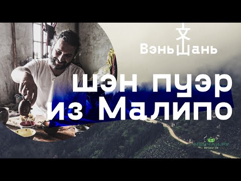 Видео: Юньнань. Дегустация чая в горах. Шэн пуэр из Малипо, Вэньшань.