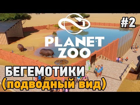 Видео: Planet Zoo #2 Бегемотики (подводный вид )