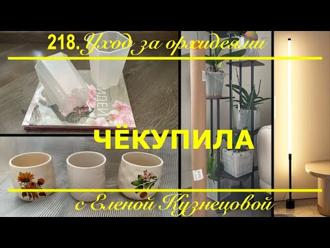 Видео: ЧЁКУПИЛА?! Дайте мне таблетку от жадности! Моим орхидеям все это позарез НАДО!