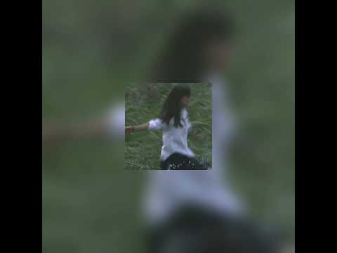 Видео: мосты speed up