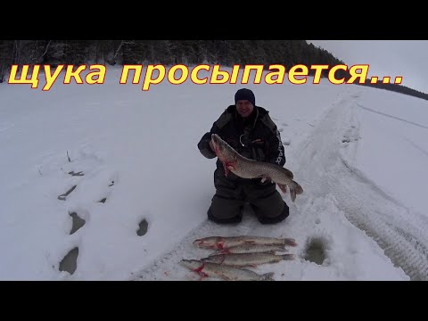 Видео: Поплыли на рыбалку. Щука на VIB и жерлицы.