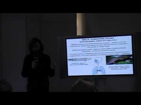 Видео: Тело человека от докембрия до наших дней. С.Дробышевский, АНТРОПОГЕНЕЗ.РУ