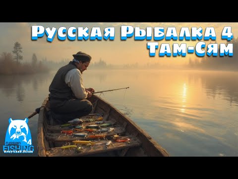 Видео: Там-сям ну и Лосиное