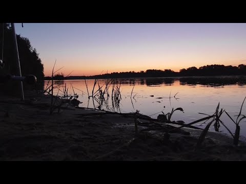 Видео: РЫБАЛКА С НОЧЁВКОЙ В ПАЛАТКЕ! РЕКА ОКА! НОЧЬ, КОСТЁР!